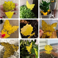 Special Shaped Insect Trap Board - Indoor & Outdoor Use