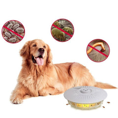 Flea Trap Lamps for Indoor Pest Control