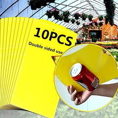 10pcs Glue Trap Insect Traps for Mosquitoes Cockroaches Non Toxic No Mess