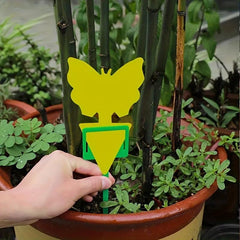 20pcs Sticky Fruit Fly Trap Indoor Outdoor Plant Pest Insect Trap