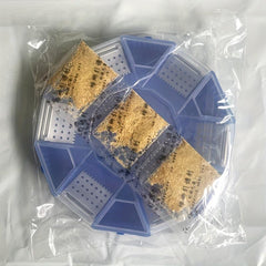 Reusable Cockroach Trap Box Eco Friendly Cockroach Trap Catcher