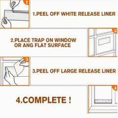 5pcs Transparent Window Sticky Insect Fly Trap
