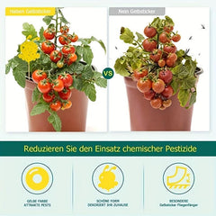 24pcs Yellow Sticky Trap Fruit Fly Fungus Gnat Catcher Double Sided Board