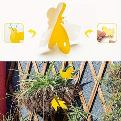 24pcs Yellow Sticky Trap Fruit Fly Fungus Gnat Catcher Double Sided Board