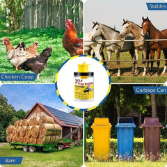 4 Pcs Fly Trap Bottle Fly Catcher Pest Insect Control