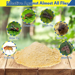 4 Pcs Fly Trap Bottle Fly Catcher Pest Insect Control