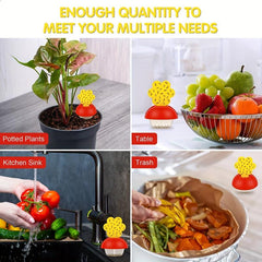 Fruit Fly Trap Mosquito Insect Trap Indoor Outdoor Home Kitchen Plant Tree