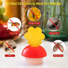 Fruit Fly Trap Mosquito Insect Trap Indoor Outdoor Home Kitchen Plant Tree