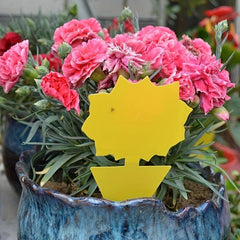5pcs Sticky Fruit Fly Trap Gnat Yellow Sticky Bug Traps For Fly Pest Insect Trap