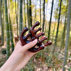 Dolphin Massage Comb Five tooth Scalp Massage Natural Sandalwood