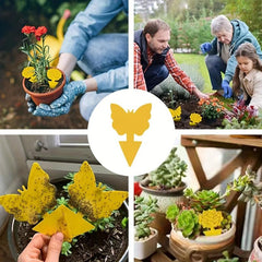 12pcs Sticky Fruit Fly Trap Yellow Sticky Bug Insect Killer Indoor Outdoor