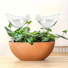 3pcs Bird Self Watering Stakes for Plants