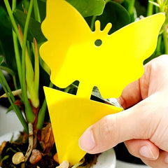 1pc Fruit Fly Gnat Yellow Sticky Bug Traps Indoor Outdoor Plant Pest Trap