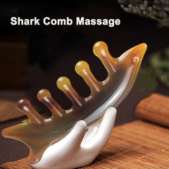 Shark Comb Massage Brush Five Teeth Meridians Neck Scraping Massager
