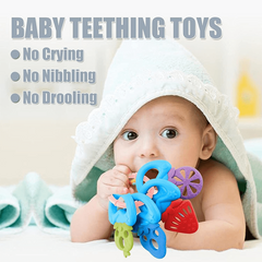 Detachable Fruit Teether Key for Baby with Mixed Textures