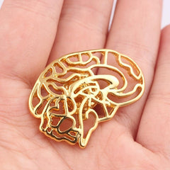 Hollowed Stomach Structure Brooch