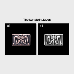 Skull Metal Plating Brooch Clothing Accessories