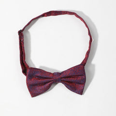 Men's Thin Striped Bow Tie