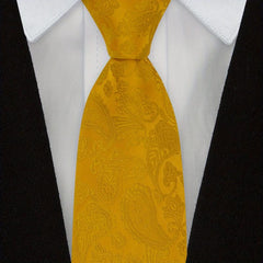 1pc Mens Paisley Ties Solid Tie Handkerchief Floral Men's Necktie Set Wedding