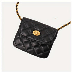 Waist Fanny Pack Chain Bag Purse Travel Jewelry Accessories