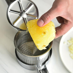 Stainless Steel Potato Ricer Fruit Press