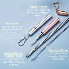 Reusable Metal Straws with Cleaning Brush and Carabiner Hook - Rose