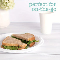 30 Large Paper Dinner Plates Eco Friendly Disposable Plates