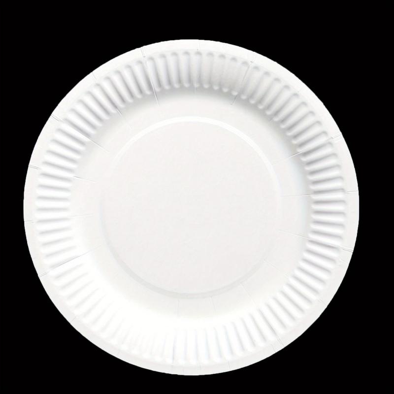 30 Large Paper Dinner Plates Eco Friendly Disposable Plates