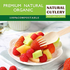 100pcs Disposable Wooden Forks Pack Of 100 16 Length Biodegradable