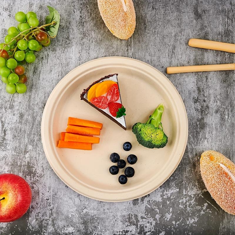 125 Pack Compostable Heavy Duty Plates - Biodegradable Bagasse Plate