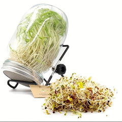 2pcs 16oz Mason Jar Sprouting Kit Stainless Steel Lids Cer