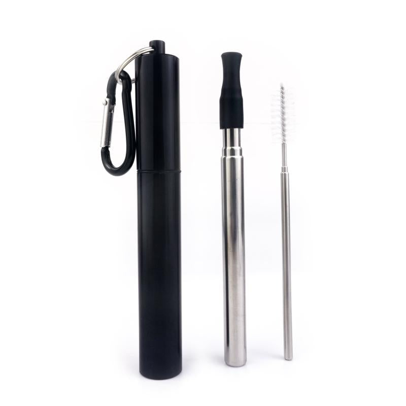 Portable Stainless Steel Straw with Silicone Mouth - Multicolor