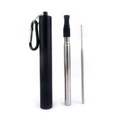 Portable Stainless Steel Straw with Silicone Mouth - Multicolor