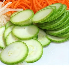 Stainless Steel Manual Vegetable Grater Household Fruit Cutter