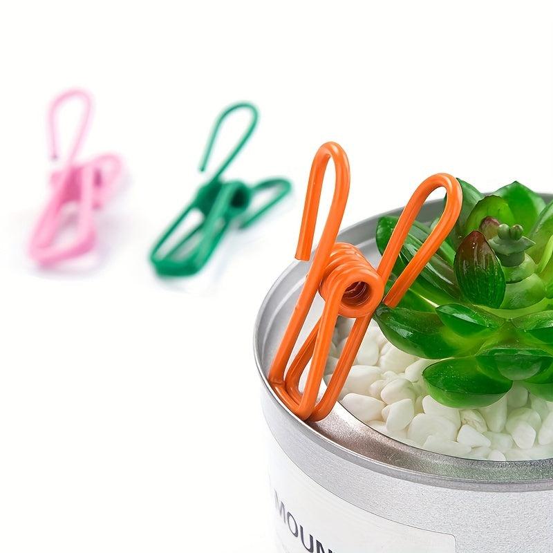 Multifunctional Storage Clip Strong Spring Clothes Drying Clip