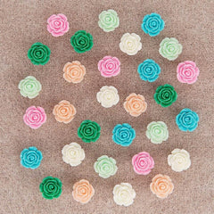 30pcs Decorative Push Pins 6 Colors Flower Pushpins with Case