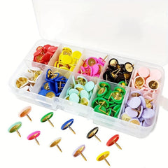 300 Colorful Pins Set in 10 Compartments