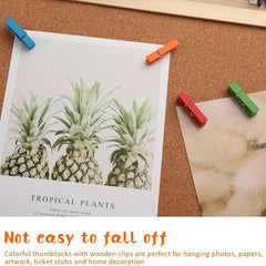 Colorful Push Pin Clips Thumb Tacks 50 Pcs