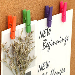 Colorful Push Pin Clips Thumb Tacks 50 Pcs