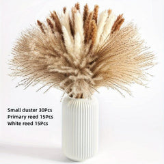 Artificial Dried Flower Reed Rabbit Tail Grass DIY Decor