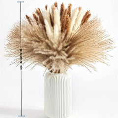 Artificial Dried Flower Reed Rabbit Tail Grass DIY Decor