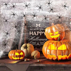 Halloween Spider Web Decor 20g + 2 Spiders - Scary Haunted House Accessory