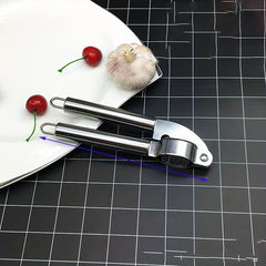 Stainless Steel Garlic Press, Multifunctional Garlic Mincer