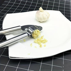 Stainless Steel Garlic Press, Multifunctional Garlic Mincer