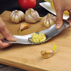 Stainless Steel Garlic Press Masher Boat Type