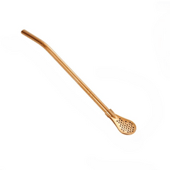 2-in-1 Metal Drinking Straw Spoon for Yerba Mate Tea Coffee