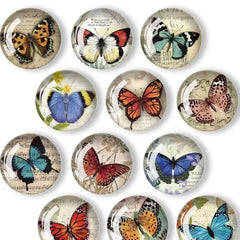 12pcs Glass Butterfly Fridge Magnets for Kitchen Office