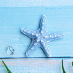 DIY Seashell & Starfish Refrigerator Magnet Stickers, Coastal Kitchen Decor