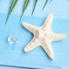 DIY Seashell & Starfish Refrigerator Magnet Stickers, Coastal Kitchen Decor