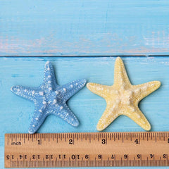DIY Seashell & Starfish Refrigerator Magnet Stickers, Coastal Kitchen Decor